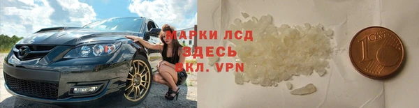 шишки Абинск