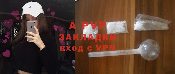 шишки Абинск