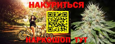 шишки Северобайкальск
