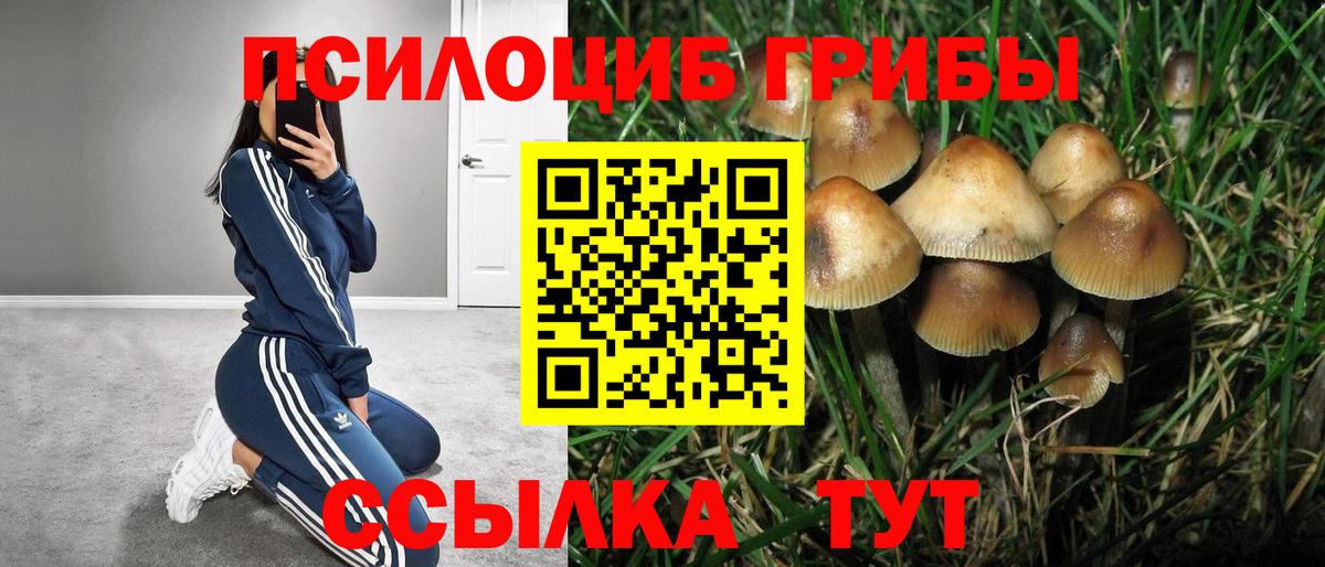 Псилоцибиновые грибы мухоморы  Вход с VPN  Галлюциногенные грибы мухоморы  Алапаевск 